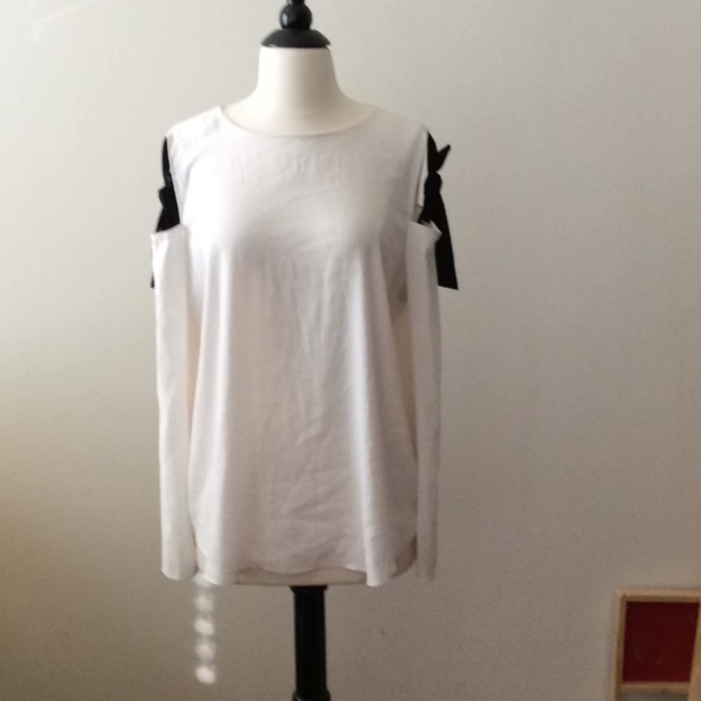 Large Ann Taylor Blouse